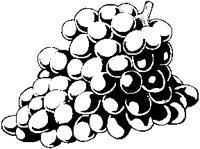 Grapes 08.eps