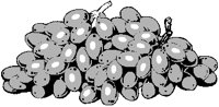 Grapes 10.eps