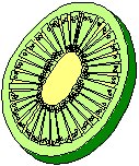 Kiwi 1.eps