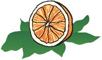 Orange Half 1.eps