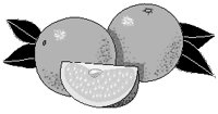 Oranges 1.eps