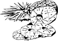 Pineapple 1.eps