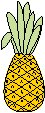 Pineapple 3.eps