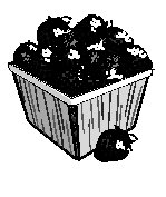 Strawberries in Basket.eps