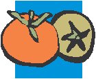 Tomatoes 3.eps