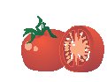 Tomatoes 4.eps