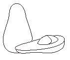 Avocado.eps