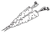 Carrots.eps