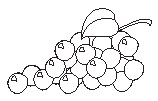 Grapes 1.eps