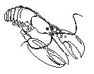 Lobster 1.eps