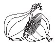 Onion 1.eps