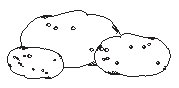 Potatoes.eps