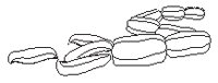 Sausages.eps