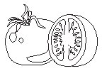 Tomato.eps