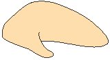 Chicken 1.eps