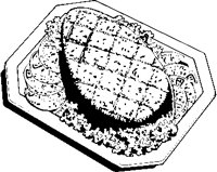 Ham 6.eps