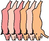 Pork - Hanging.eps