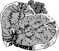 Pork Chops 2.eps