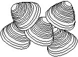 Clams 2.eps