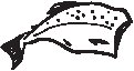 Fish.eps
