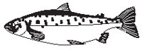 Fish 1.eps