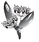 Lobster Decoration 2.eps