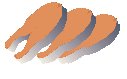 Salmon 3.eps