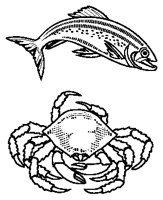 Seafood Collage 1.eps