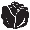 Cabbage.eps