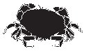Crab.eps