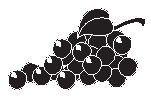 Grapes 4.eps
