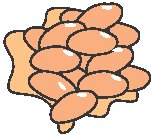 Beans 2.eps