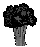 Broccoli 1.eps