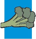 Broccoli 2.eps