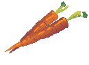 Carrots 3.eps