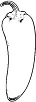 Chili Pepper 3.eps