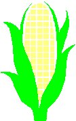 Corn 2.eps