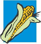 Corn 5.eps