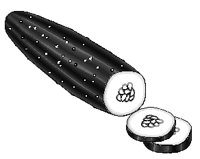 Cucumber 1.eps