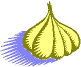 Garlic Clove.eps