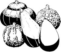 Gourds - Decorative.eps