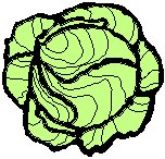 Lettuce 1.eps