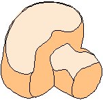 Mushroom.eps