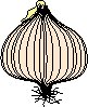 Onion 2.eps