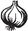 Onion 4.eps