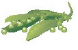 Pea Pods 1.eps