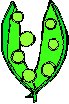 Pea Pods 3.eps