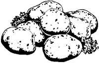 Potatoes - New 1.eps