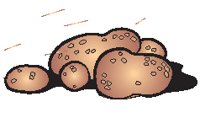 Potatoes 4.eps