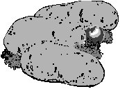 Potatoes 5.eps